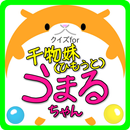 クイズfor干物妹（ひもうと）うまるちゃん APK