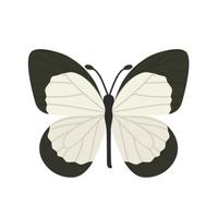 世界のきれいで美しい蝶々のイラスト capture d'écran 1