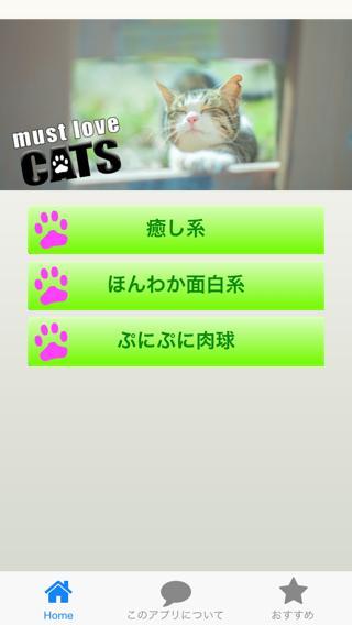 猫の画像 癒やし 肉球画像 待受画像に For Android Apk Download