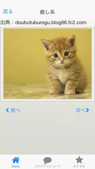 Android向けの猫の画像 癒やし 肉球画像 待受画像に Apkをダウンロードしましょう