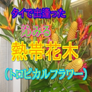 タイの身近に咲く草花　熱帯花木（トロピカルフラワー） APK