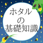 ホタルの基礎知識クイズ　生態などを勉強して下さい アイコン