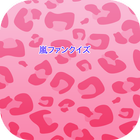 嵐ファンクイズ icon