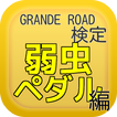 GRANDE ROAD検定「弱虫ペダル編」