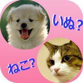 【動物クイズ】ねこといぬ編　子供向け無料アプリ icon