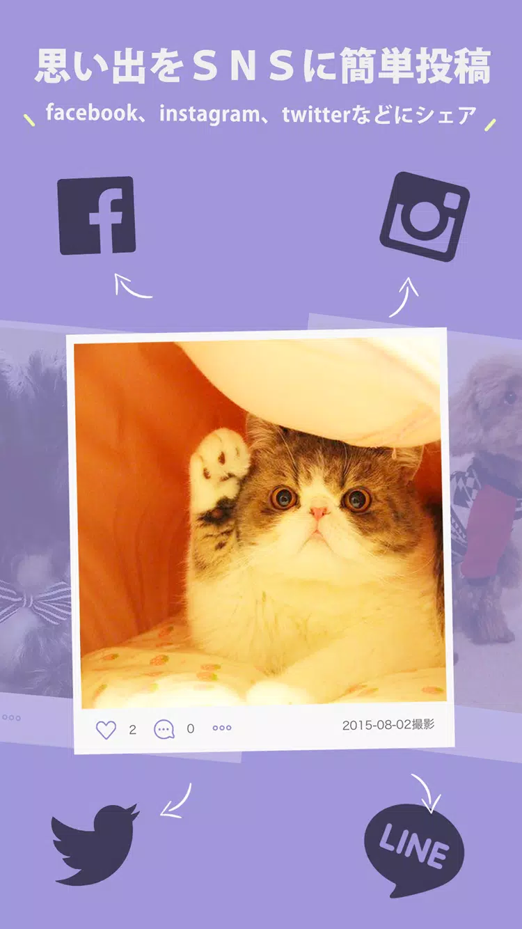 Android向けの犬 猫 ペットの家族アルバムアプリ Honey ハニー Apkをダウンロードしましょう