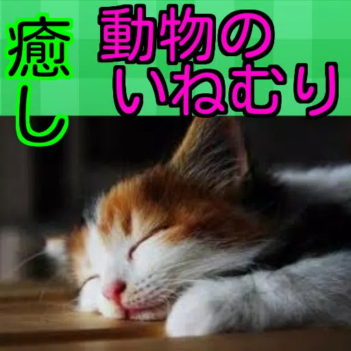 癒し 動物のいねむり For Android Apk Download