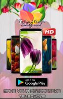 HD Tulip flower Backgrounds الملصق