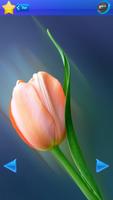 HD Tulip flower Backgrounds تصوير الشاشة 2