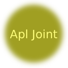 Icona Apl Joint