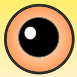 Dynamic Visual Acuity Test