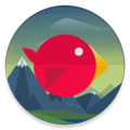 Rocket Bird
