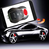 Key Fob, Remote Car, Auto Schlüssel Alarm Affiche