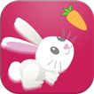 Cute Rabbit Game: Free