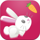 Cute Rabbit Game: Free APK