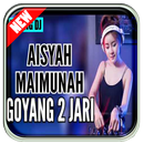 DJ Aisyah Goyang Dua Jari Remix(Offline) APK