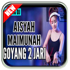DJ Aisyah Goyang Dua Jari Remix(Offline) 图标