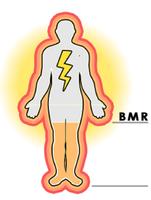 Basal Metabolic Rate screenshot 2