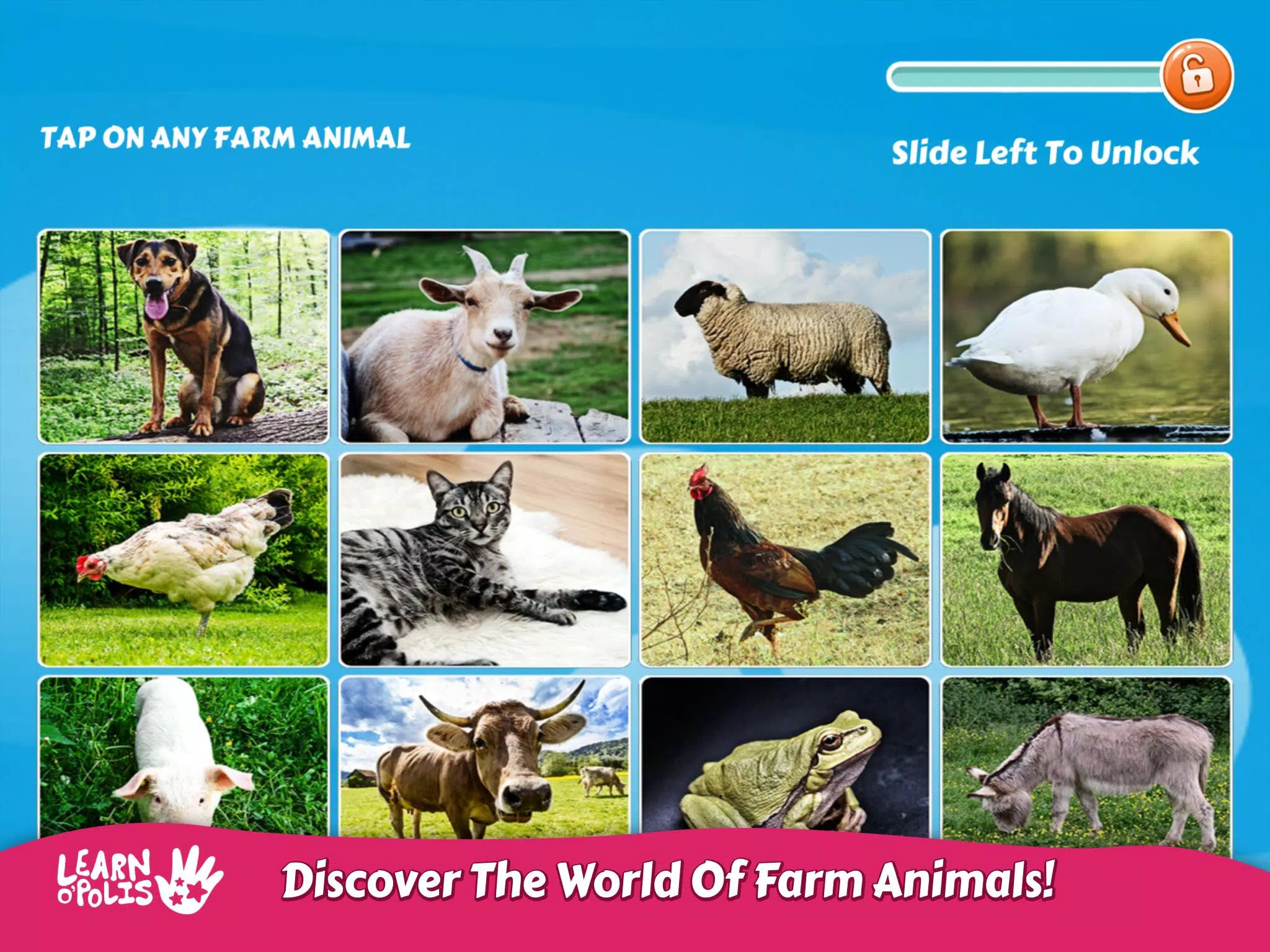 Kids Learn Farm Animals APK for Android Download