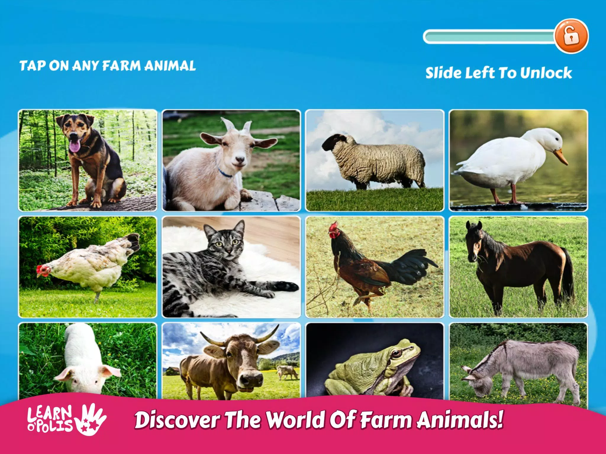 Kids Learn Farm Animals APK for Android Download Kids Learn Farm Animals APK for Android Download