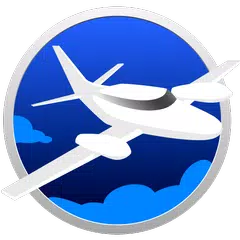 Leo's Flight Simulator Canary
