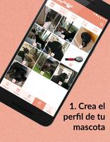 ExpertoAnimal syot layar 1