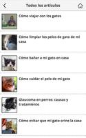 Gatos: Cuidados y Educación Screenshot 1
