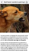 2 Schermata Perros: Cuidados y Educación