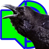 Crow Calls icon