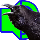 Crow Calls APK