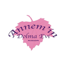 Annem'in Dolma Evi APK
