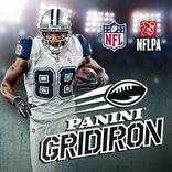 NFL Gridiron from Panini