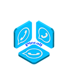 Pincall Video chat ไอคอน