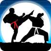 Karate Fighter : Real battles