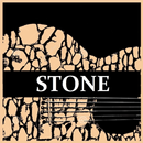 Stone Web Radio aplikacja