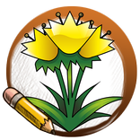 Drawing Simply Flower Bouquets