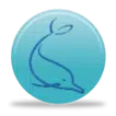 MySQL Client