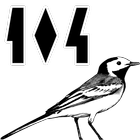 104 Birds icône