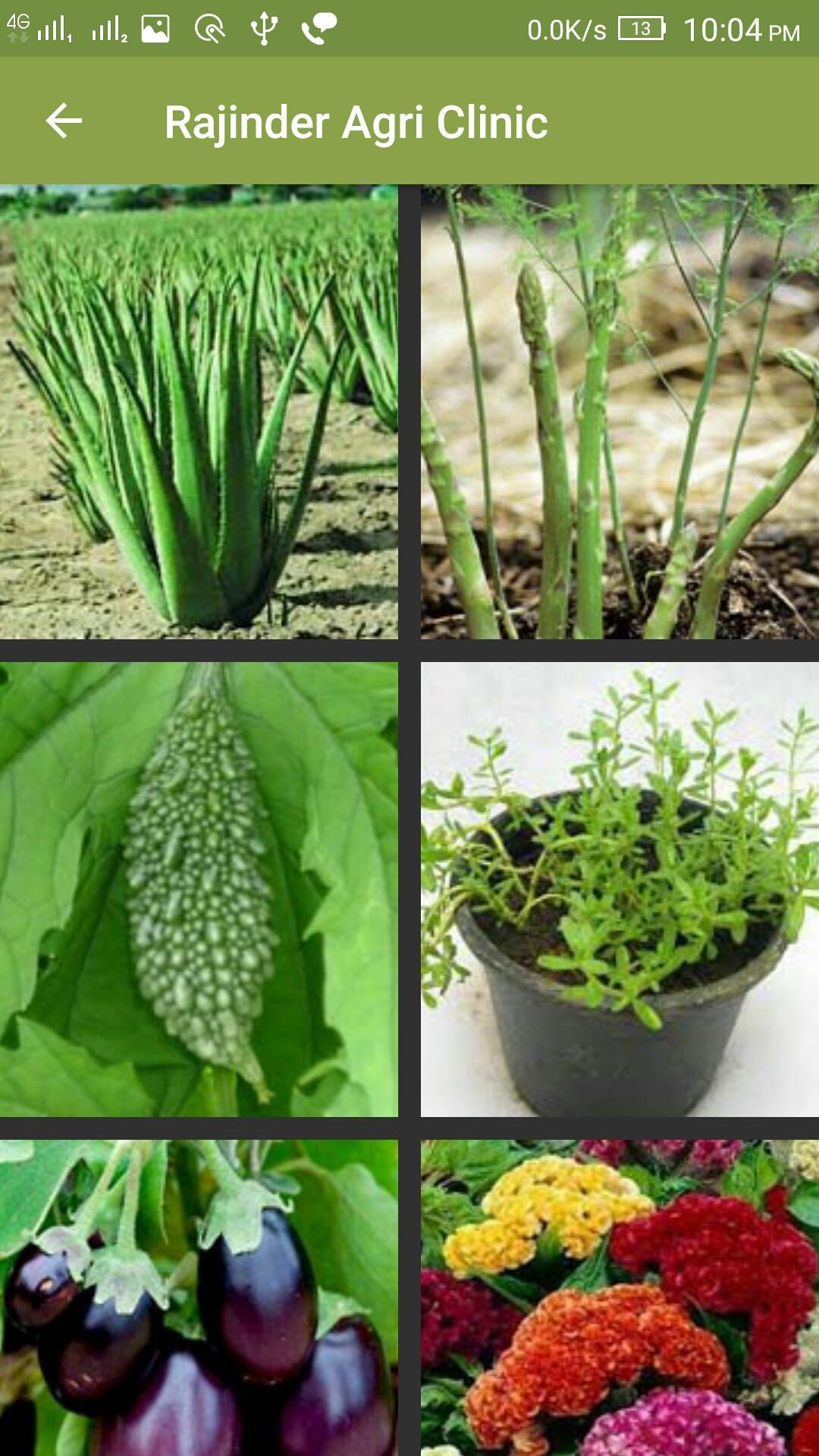 Rajinder Agri Clinic 3