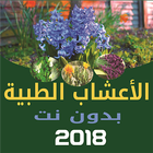 فوائد الأعشاب الطبية أيقونة