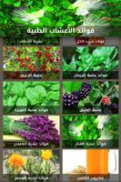 فوائد الأعشاب الطبية تصوير الشاشة 2