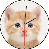 Kitten Watch Face 图标