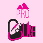 proGuides icon
