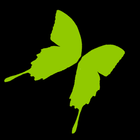 Light Butterfly icône