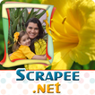 Scrapee - إطارات الصور