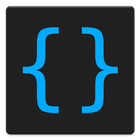 Developer Options icon