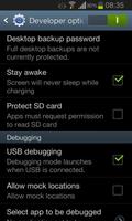 Developer Options screenshot 2