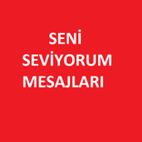 ”Seni Seviyorum Mesajları