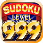 Number Place Lv999 icon