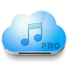 guide for Music Paradise Pro icon